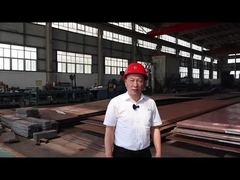 كاكو3 أفقي 300 طن يومياً